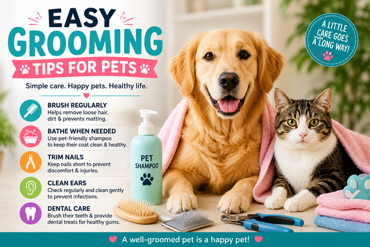 Easy Grooming Tips For Pets