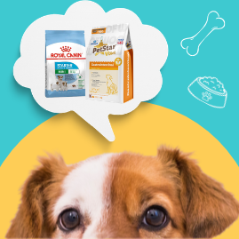 Dry Food