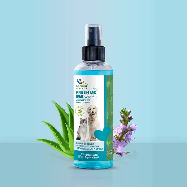 Natural Remedies Fresh Me Up Bloom Dry Shampoo