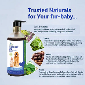 Natural Remedies Lush Me Up Anti Hairfall Shampoo