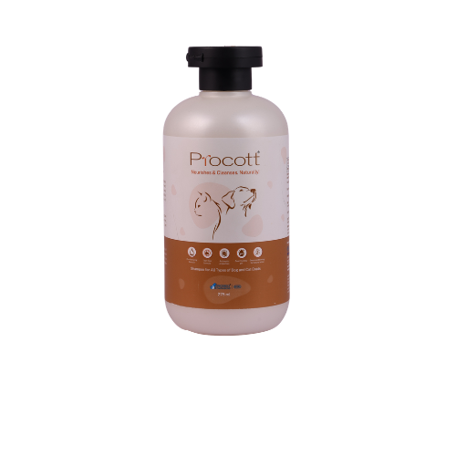 Procott shampoo