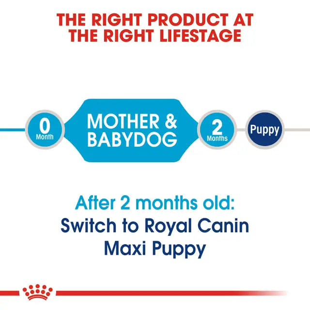 Royal Canin Maxi Starter