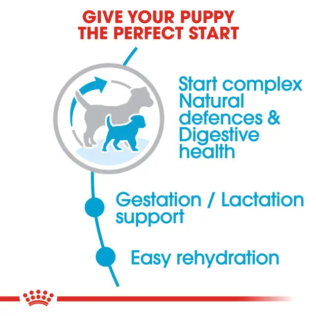 Royal Canin Mini Puppy