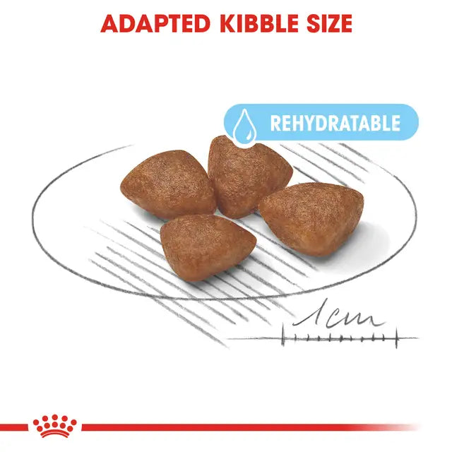 Royal Canin Mini Starter
