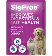 SigProe