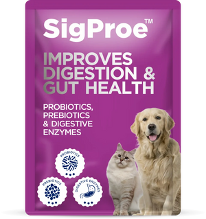 SigProe