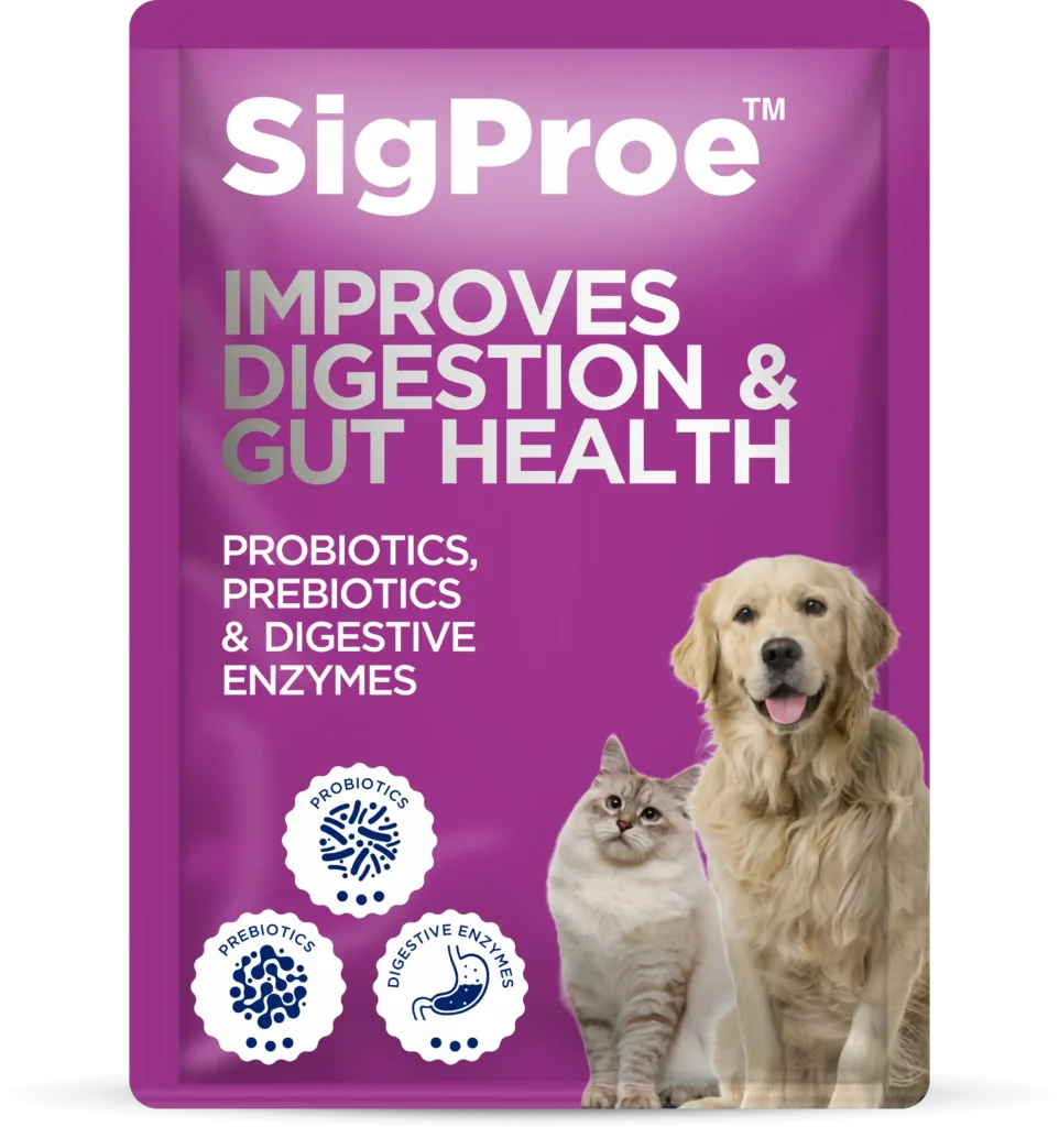 SigProe
