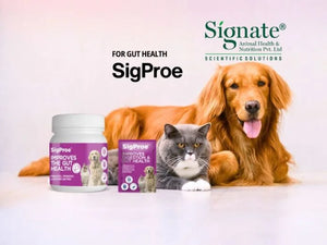 SigProe