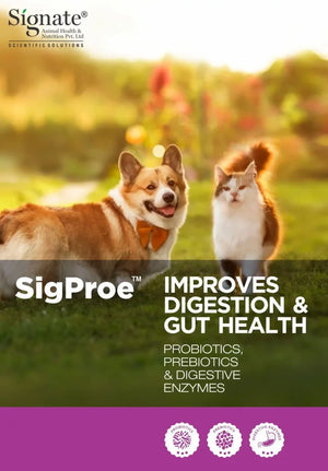 SigProe